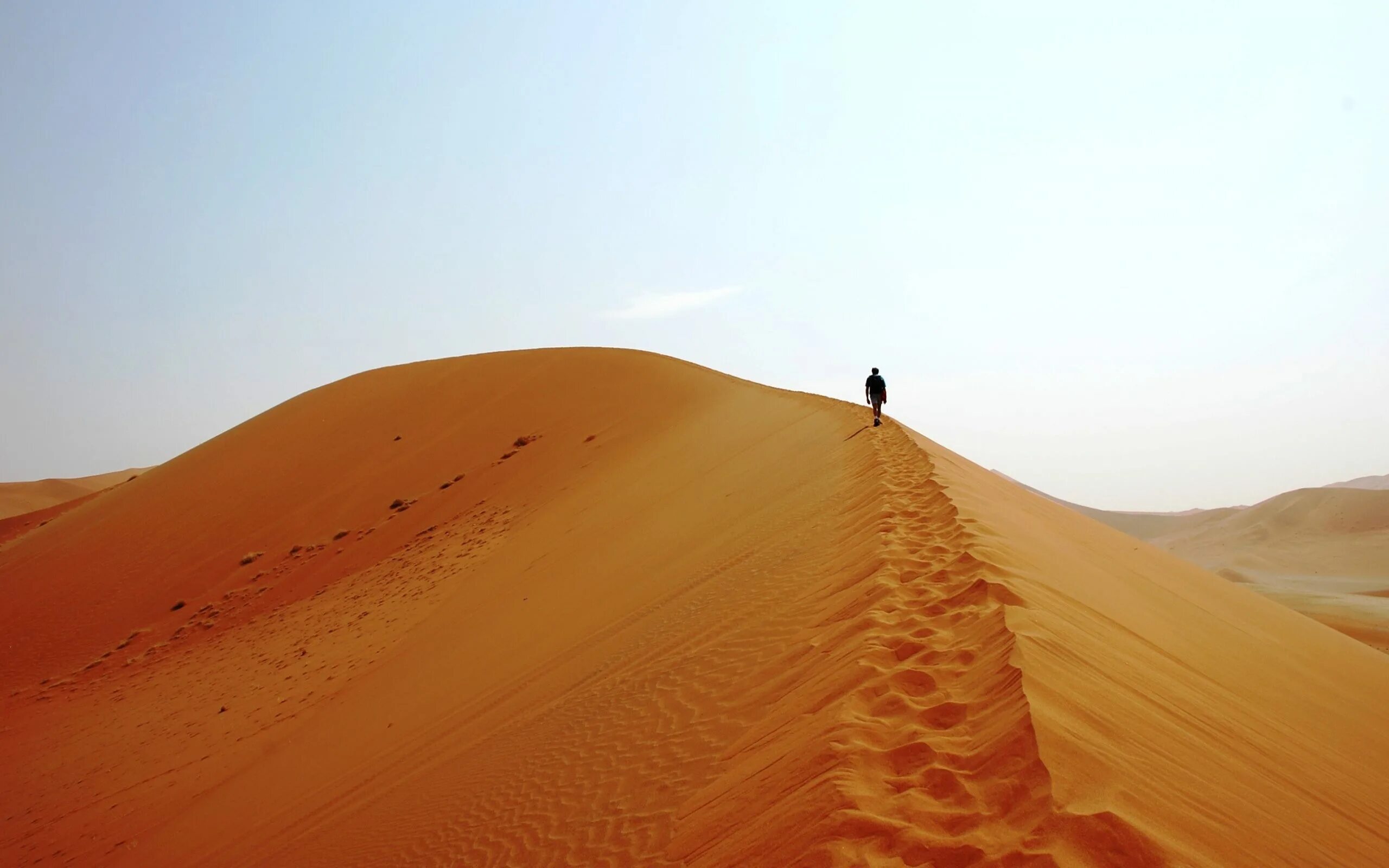 Пустыня побед. Пустыня Барханы Оазис. Пески пустыни. Идущие по пустыне. Путник в пустыне.