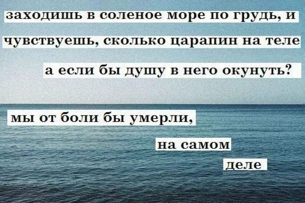 Там нельзя не почувствовать себя в мире. Заходишь в соленое море и чувствуешь. Афоризмы про море. Лучшие цитаты про море. Статусы про море.