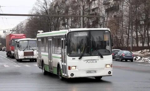 301 автобус спб