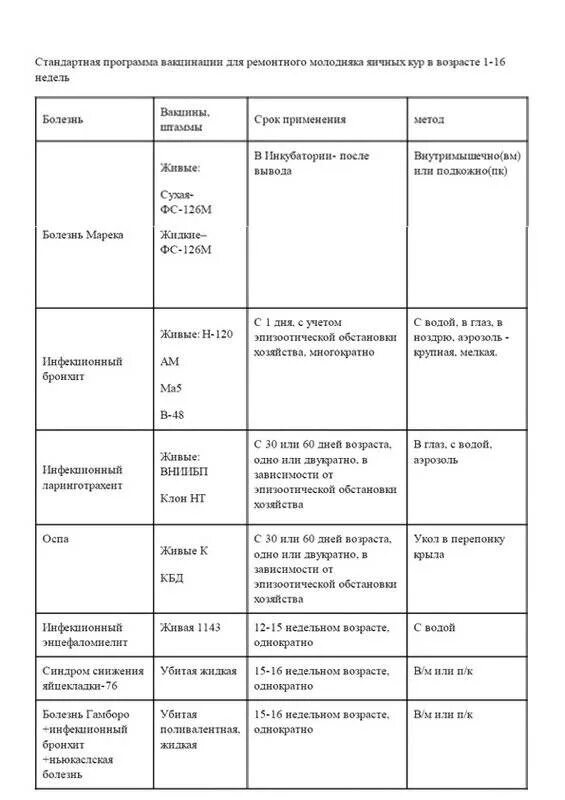 Схема пропойки цыплят и индюшат. Схема выпайки цыплят не сушек. Схема вакцинации бройлеров в домашних условиях. Схема вакцинации цыплят бройлеров.
