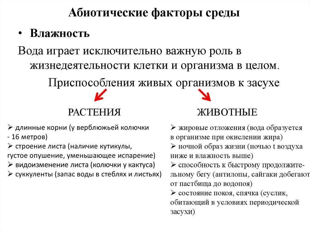 Влажность растений и животных. Абиотические факторы влажность. абиотические факторы влажность характеристика. абиотические факторы среды влажность. влажность характеристика фактора.