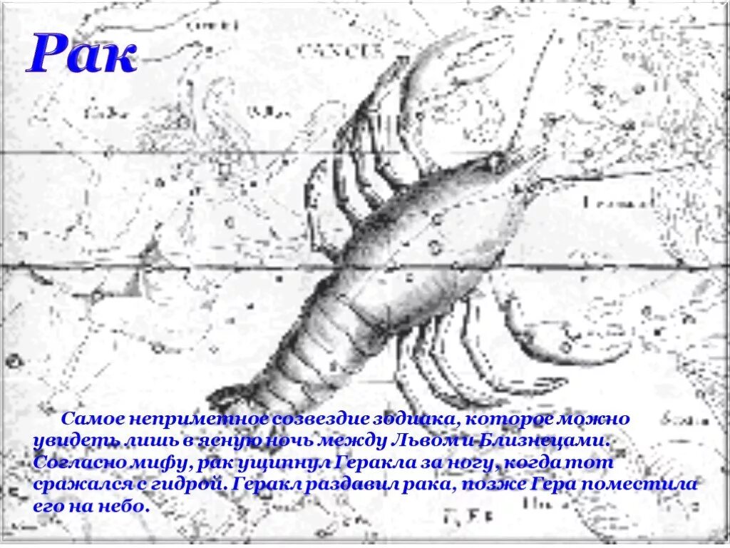 Мифы об онкологии. Созвездие рака легенда. С͓о͓з͓в͓е͓з͓д͓и͓я͓э͓ р͓а͓к͓а͓. Созвездие рака легенда. Созвездие рака легенда.