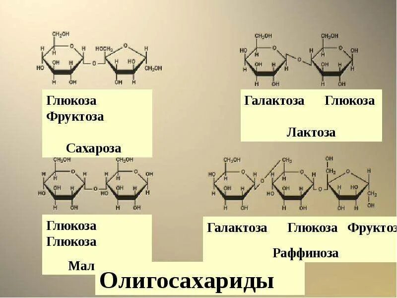 Глюкоза мальтоза галактоза. Сахароза фруктоза Глюкоза лактоза мальтоза. Сахароза фруктоза лактоза формулы. Мальтоза это олигосахарид.