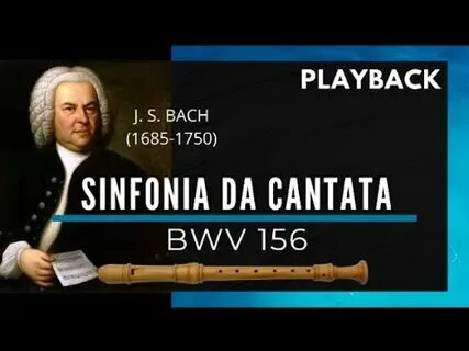 Tiktoker bach video