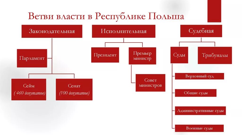 Ветвь высшей государственной власти