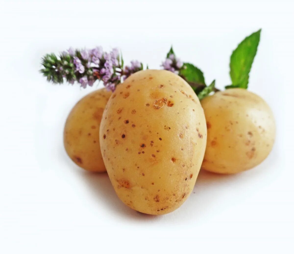 Картошка овощ или фрукт. Картофель. Красивая картошка. Картофель красивый. Сырая картошка.