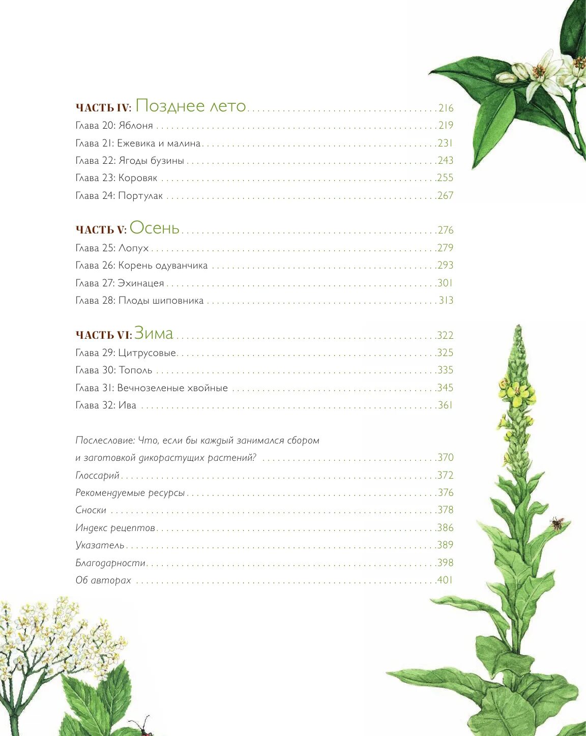 мельница – дикие травы (cd). мельница дикие травы обложка. мельница 2009 дикие травы. мельница дикие травы обложка. дикие растения джей ди уокер книга.