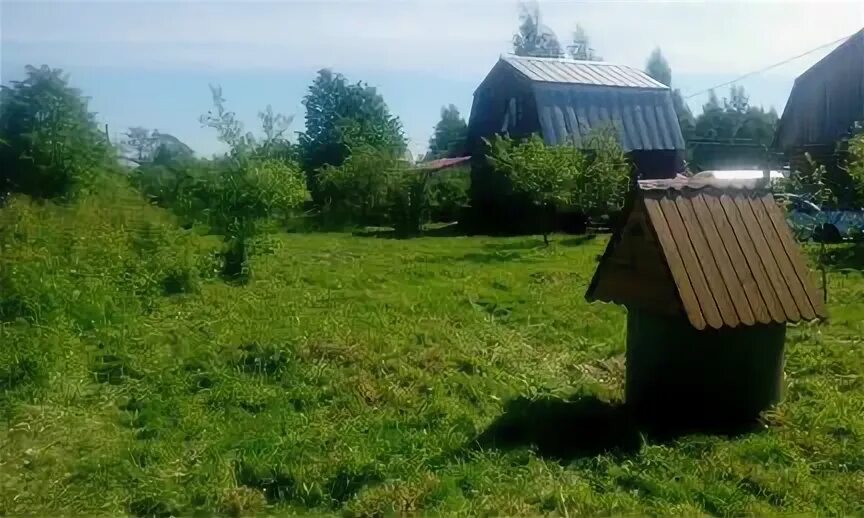 Авито в волоколамском районе