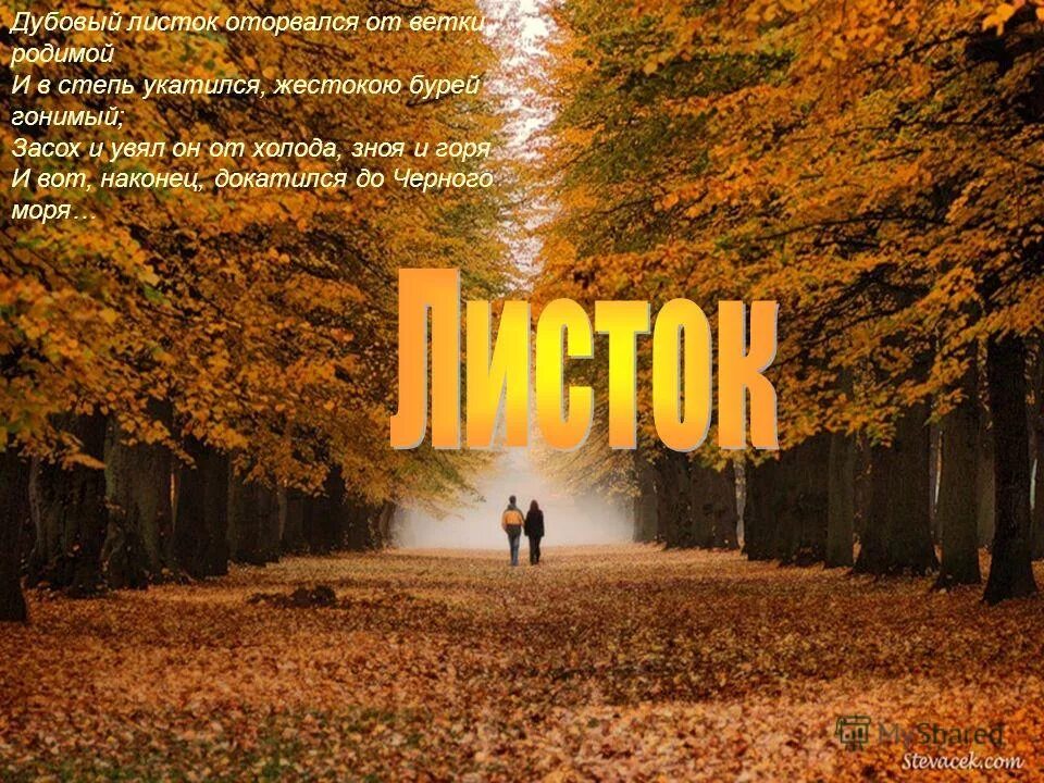 м ю лермонтов стих листок. м. дубовый лист лермонтов стих. лермонтова "листок". дубовый лист оторвался от ветки родимой.