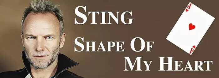 Стинг из клона. Sting Shape of my Heart обложка. Sting Shape of my Heart фото. Sting Shape of my Heart альбом.