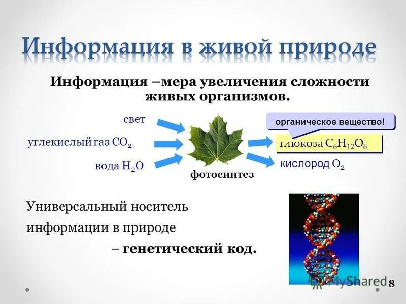 Наследственную природу имеют