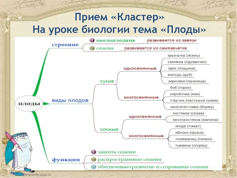 Ключевые слова на уроке. Метод кластера на уроке биологии. Кластер на уроках биологии. Приемы на уроках биологии. Прием кластер на уроках.