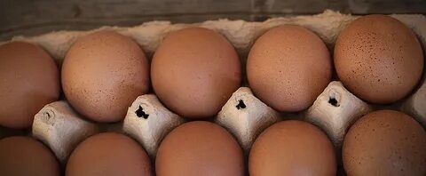 Egg farm