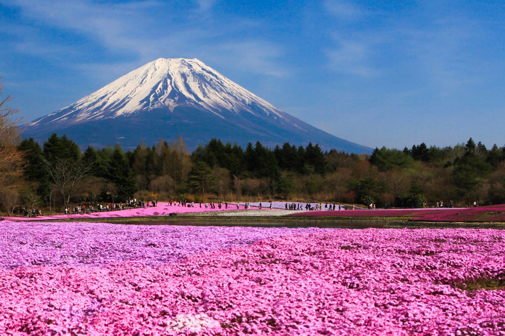 Гора Фудзияма в Японии. Гора Фудзияма в Японии фото. Киото Фудзияма. Гора Фудзи в Японии. Фудзи это