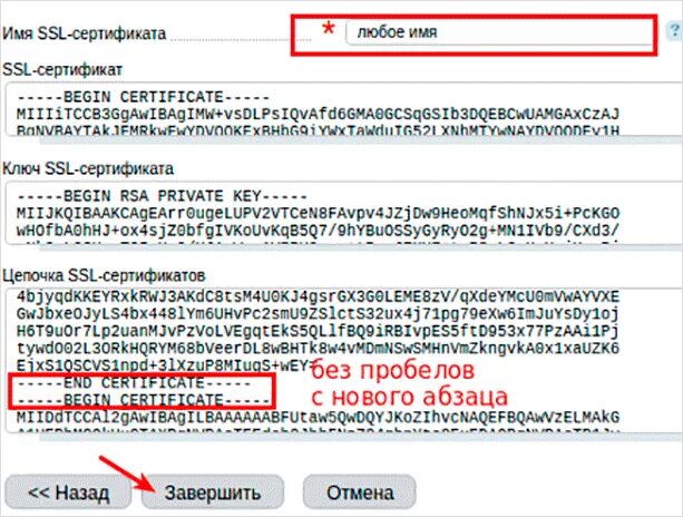 SSL сертификат. ССЛ сертификат. Как выглядит SSL сертификат. Бесплатный сертификат ССЛ.