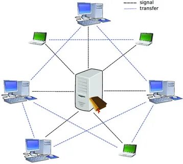 P network