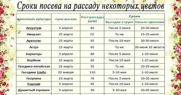 Через сколько часов апрель. Сроки посева цветов на рассаду таблица. Таблица сроков посева однолетних цветов на рассаду. Таблица сроков посадки однолетних цветов. Сроки посадки однолетников на рассаду таблица.