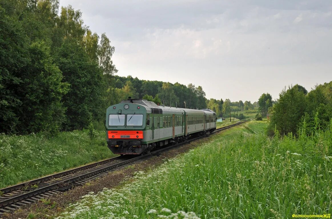 Железнодорожная станция муравьёво. Поезд вязьма ржев. Ржев вязьма. Электричка ржев вязьма. Ржев балтийский-вязьма электричка.