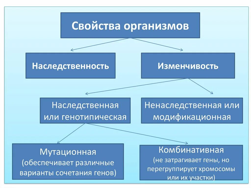 Информация о наследственных признаках. Наследственность и изменчивость. Наследственность и изменчивость организмов. Закономерности наследственной изменчивости. Виды наследственности и изменчивости.