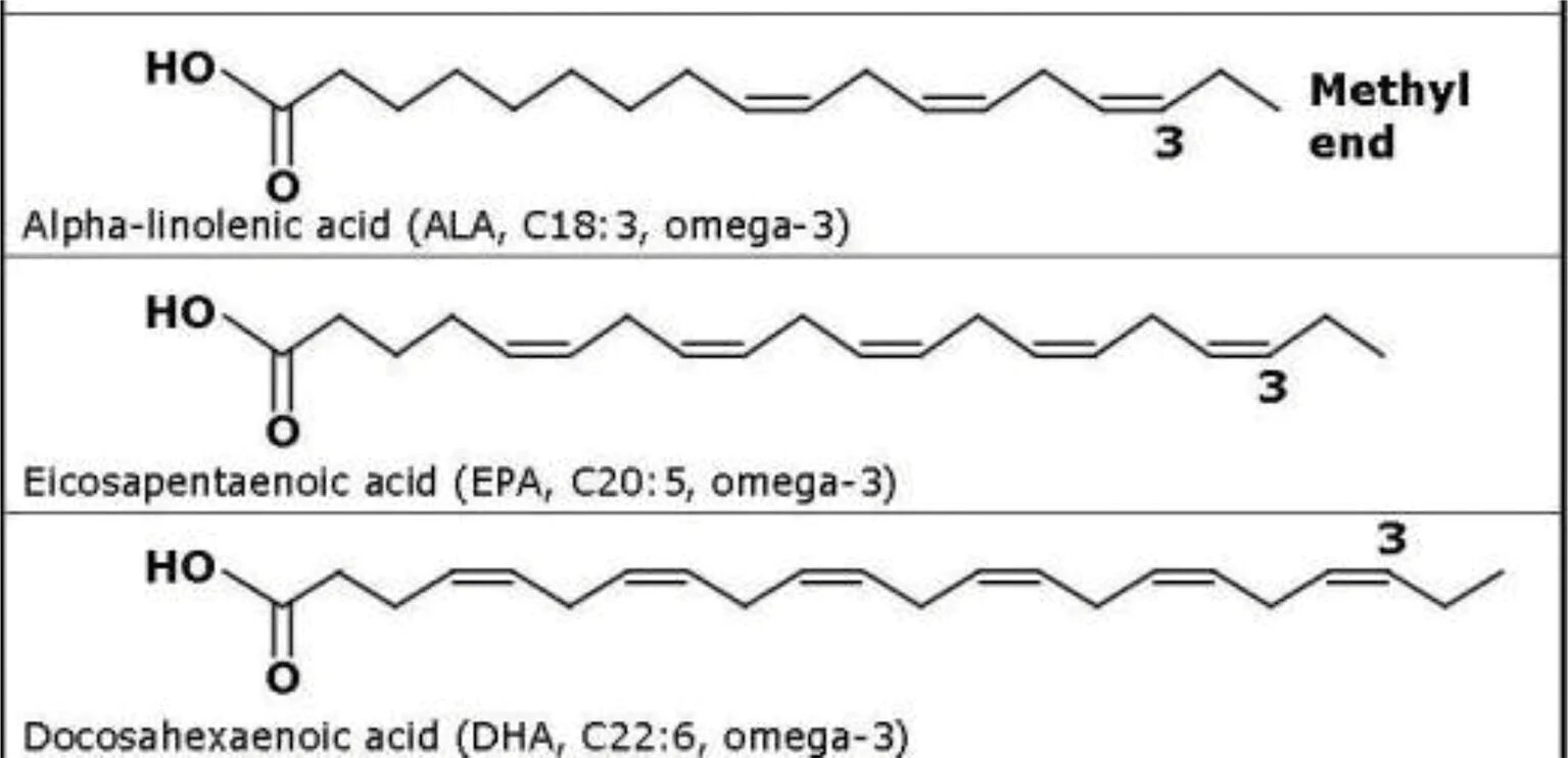 Полиненасыщенные жирные кислоты w-3 w-6. Полиненасыщенные жирные кислоты формулы. Полиненасыщенные жирные кислоты (ПНЖК). Омега 3 Альфа линоленовая кислота. Источник w 3 кислот