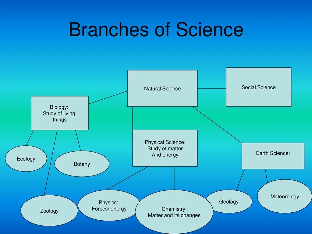 The word science means. Types of Science. Natural Science social Science applied Science таблица. Branches of Science. What is social Sciences.