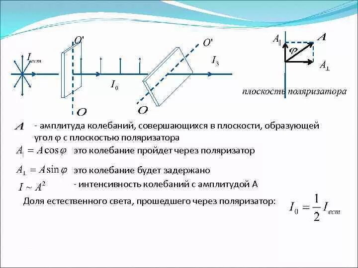 Вращение плоскости поляризации поляризованного света. Угол между поляризатором и анализатором. Вращение плоскости поляризации оптически активными средами. Плоскость поляризации поляризатора. Плоскость поляризации.