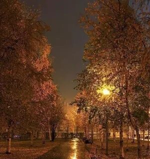 Вечер дождь осенью