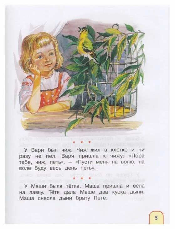 Варя и Чиж толстой. У Вари был Чиж толстой. Л. Н. Толстого «у Вари был Чиж». Рассказ Толстого Варя и Чиж. Толстой птичка презентация