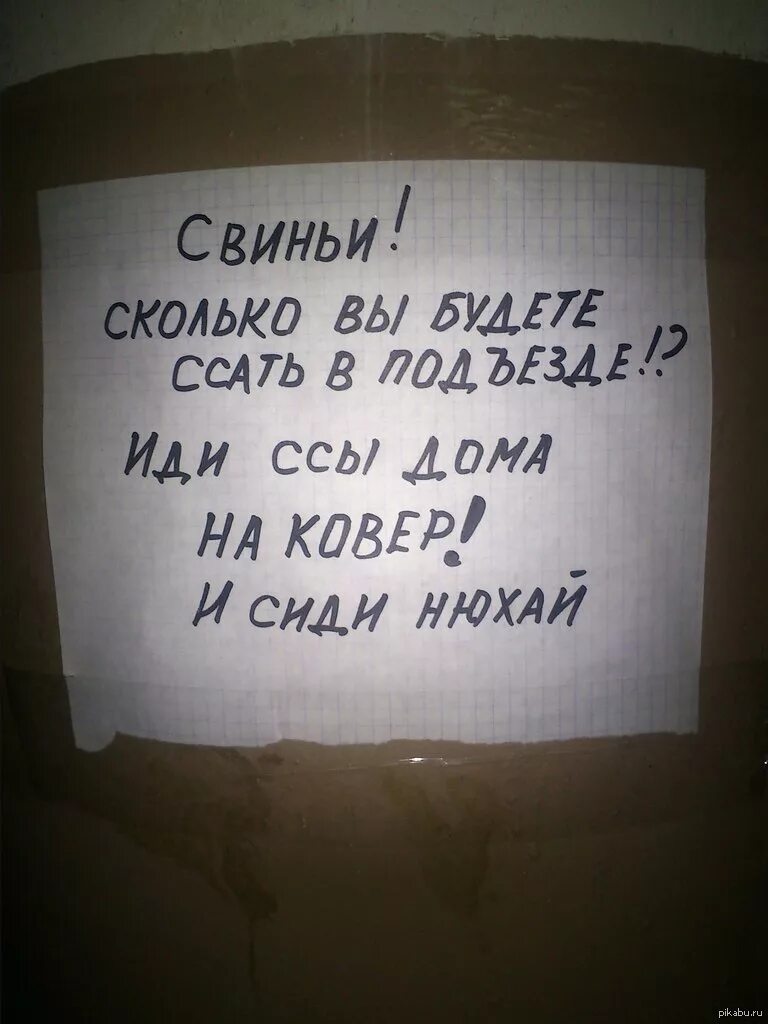 Текст быть обнюханным сидеть с тобой часами. Объявление в подъезде прикол. Смешные объявления. Текст объявление смешное.