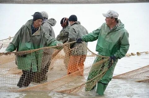 Қынаптың артқы жағынан жақыннан түсірілуі