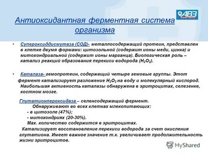 Антиоксидантная защита роль