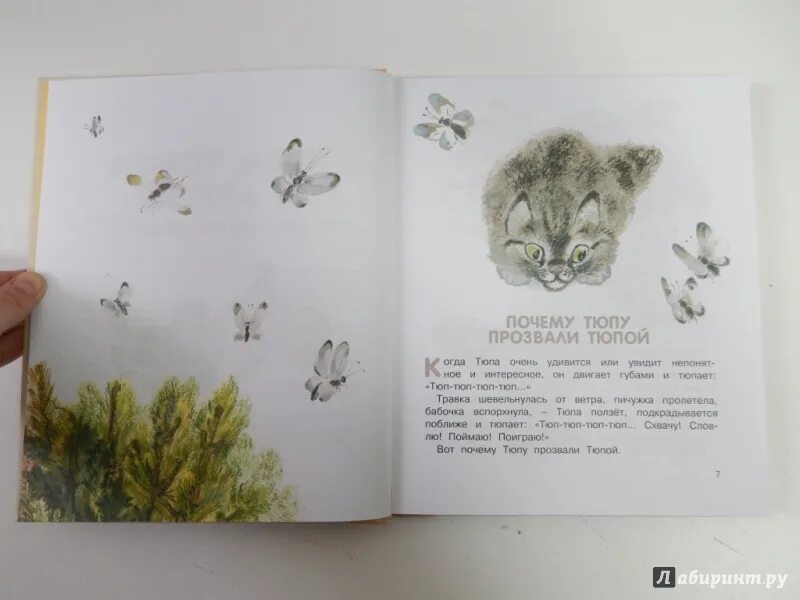 Я тебя тюп тю. Чарушина "почему тюпа не ловит птиц". Тюпа томка и сорока раскраска. Я тебя тюп тю. Чарушин друзья.