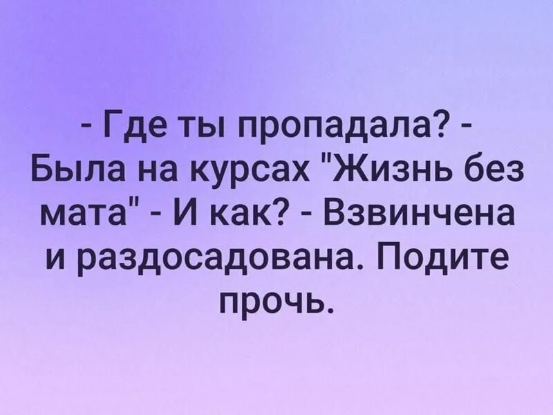 Жизнь без мата пойдите прочь. Был на курсах жизнь без мата. Где ты пропадал был на курсах. Анекдот курсы жизнь без мата. Куда делись