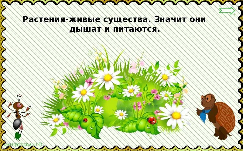 Солнце растения и мы 3 класс. Солнце растения и мы с вами. солнце растения и мы с вами 3 класс. солнце растения и мы с вами 3 класс окружающий мир. солнце растения и мы с вами текст.