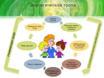 Проект экологическая тропа в детском саду