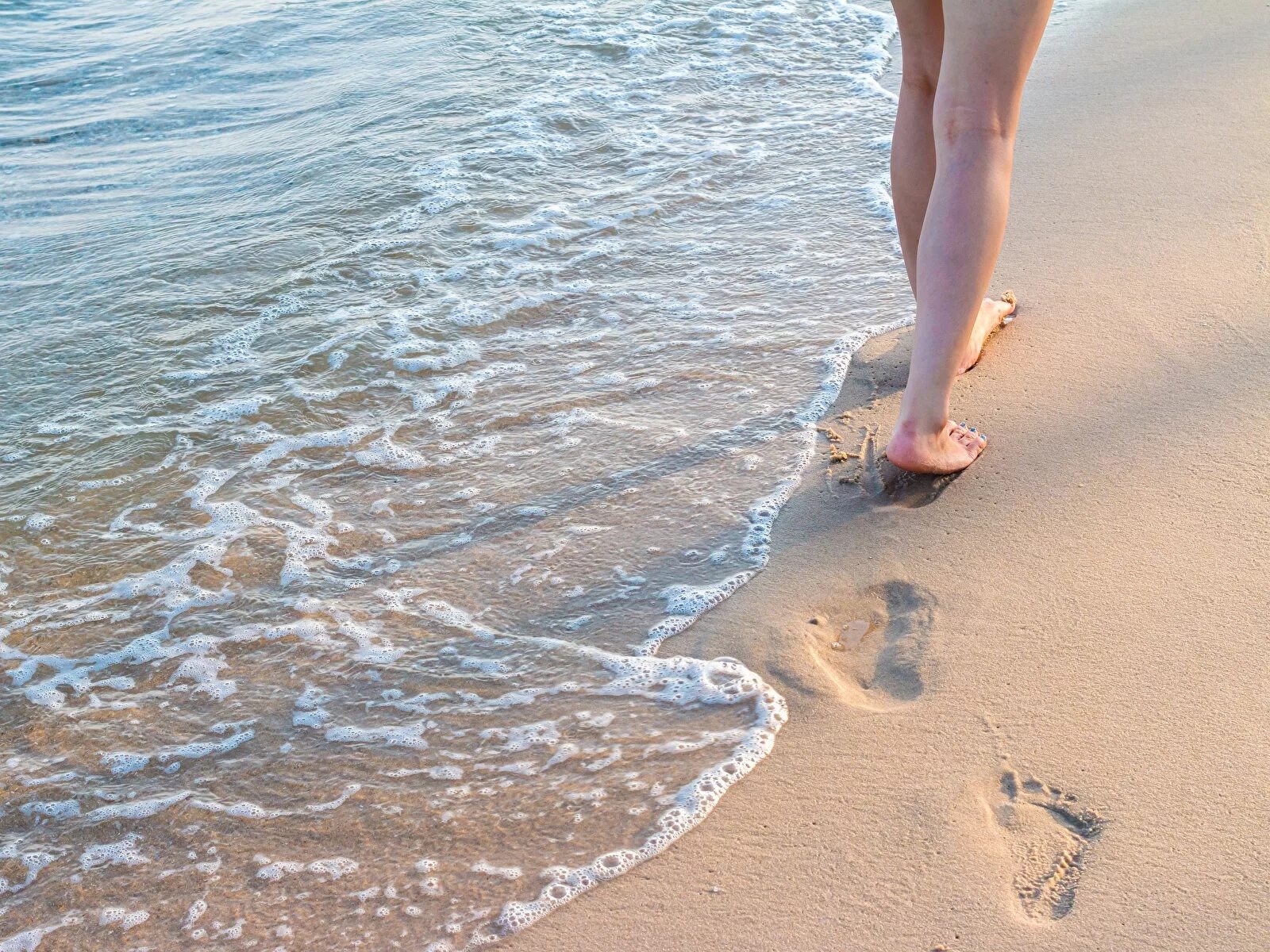 тростник на финском заливе. песчаные дюны финского залива. следы на песке. отпечаток ноги на песке. следы на песке у моря.