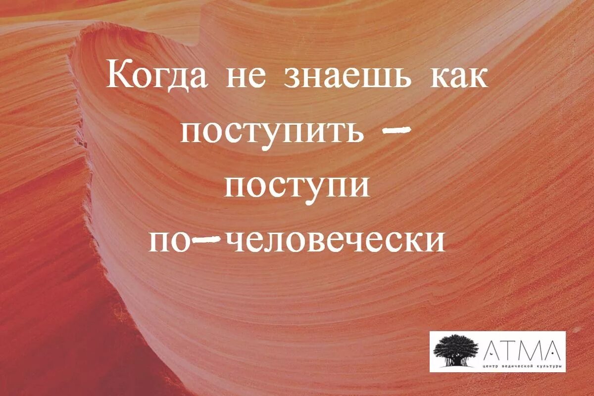Не всегда поступаешь правильно. Не всегда поступаешь правильно