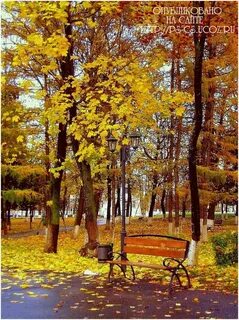 Осенний ковер