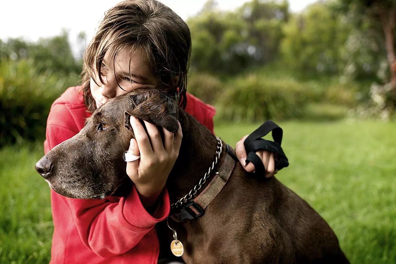 Dog has woman. Человек с собакой. Собака друг человека. Наблюдение за собакой. Наблюдать за собакой.