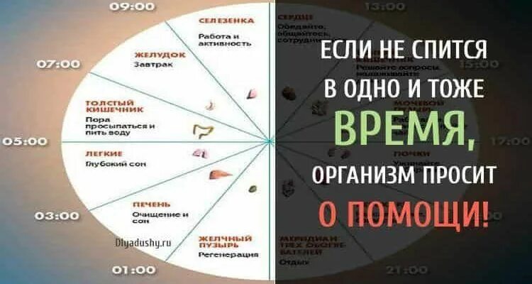 Просыпаюсь ночью в одно и тоже время. Если просыпаешься ночью в одно и тоже время. Что если просыпаешься в одно и тоже время. Время просыпания ночью в одно и тоже время.