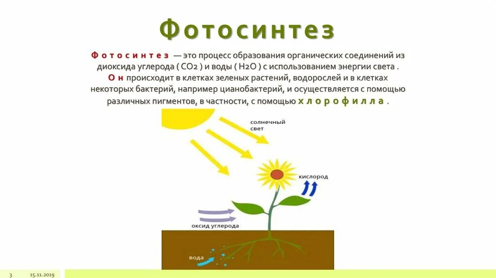 Связь с проявляется в процессе фотосинтеза. Фотосинтез у растений 2 этапа. Процесс фотосинтеза у растений начальная школа. Стадии фотосинтеза таблица. Фотосинтез схема кратко.