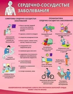 Профилактика для сердца и сосудов
