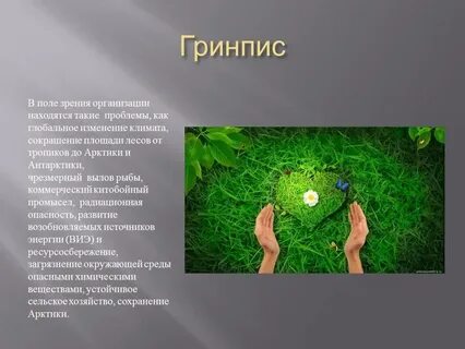 Ответ гринписа