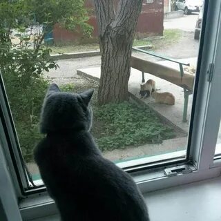 Он не у меня дома