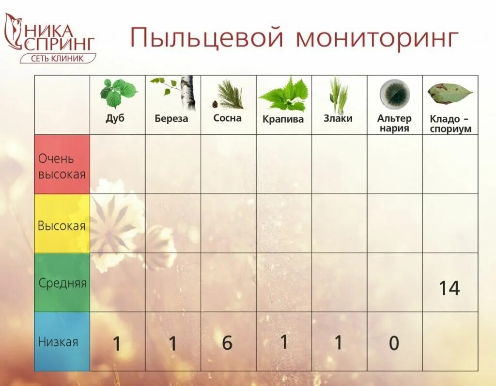 Пыльца нижний новгород. Пыльцевой мониторинг. Мониторинг пыления в Москве. Карта пыления. Пыльцевой мониторинг в Москве.