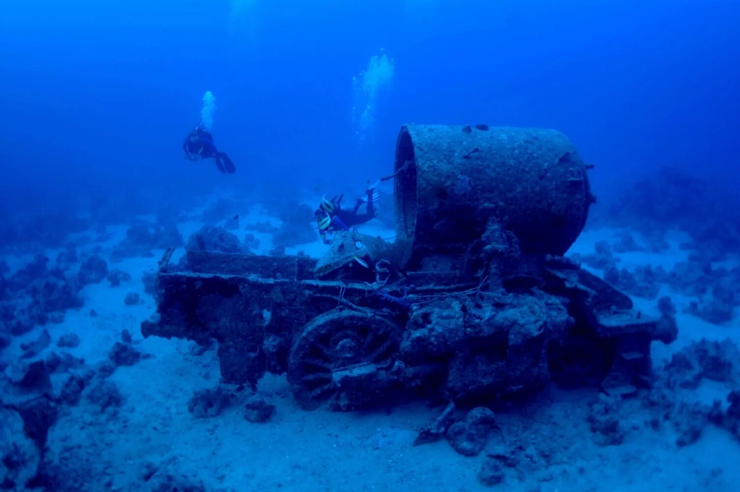 Сто на дне океана. Thistlegorm в Красном море. Архипо-Осиповка затонувший корабль. Затонувший корабль Амед Бали. Корабли под водой.