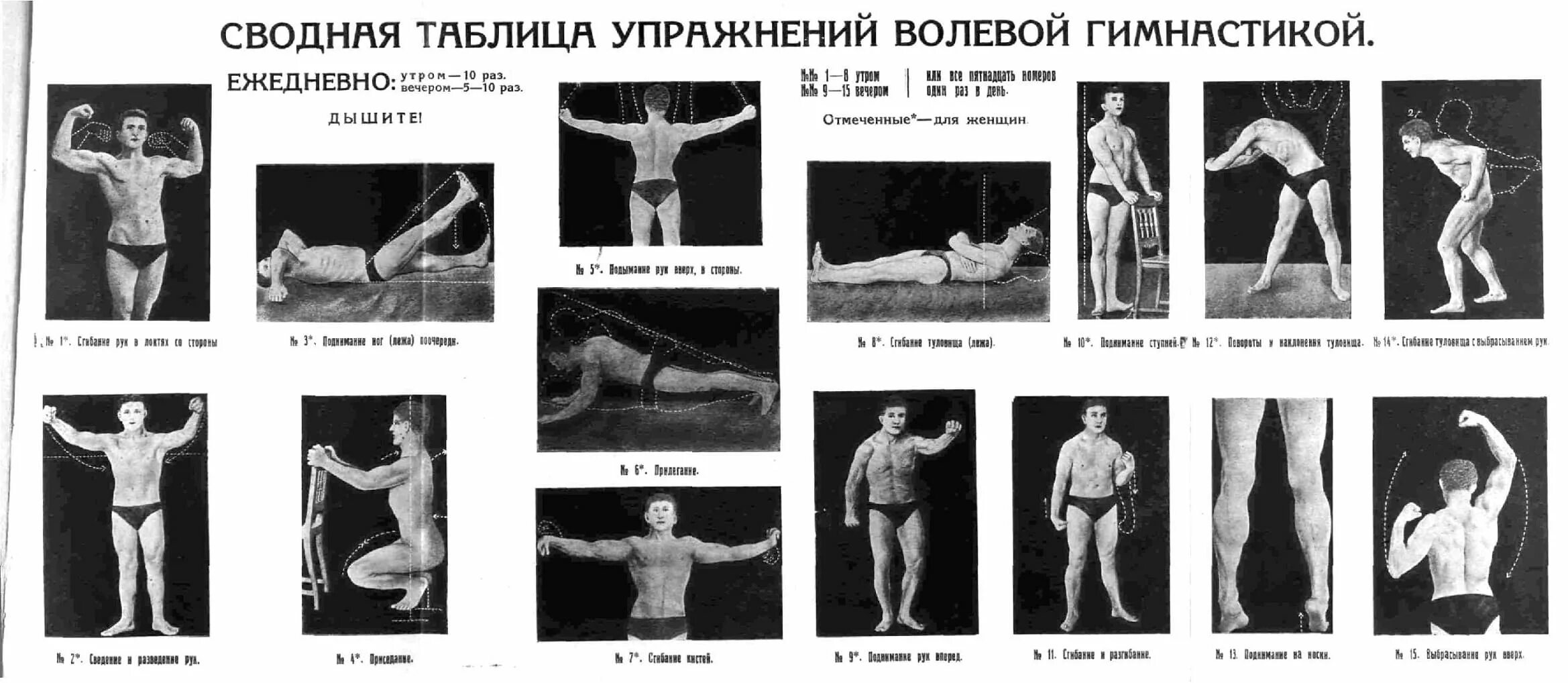 Волевые упражнения гимнастика. Волевые упражнения гимнастика. Волевые упражнения гимнастика. Волевые упражнения гимнастика. Волевые упражнения в гимнастике.