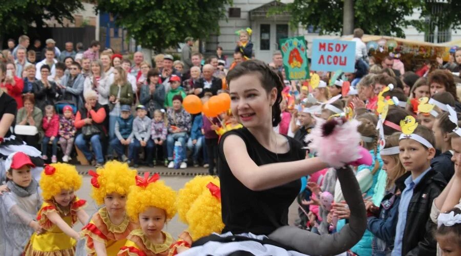 Таруса петухи гуси. Петухи и гуси в городе тарусе фестиваль. фестиваль петухи и гуси в городе тарусе 2025. таруса фестиваль.
