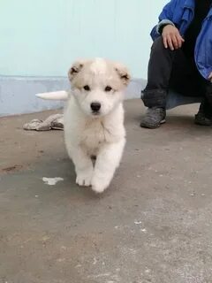 Рокси Рэй порно видео