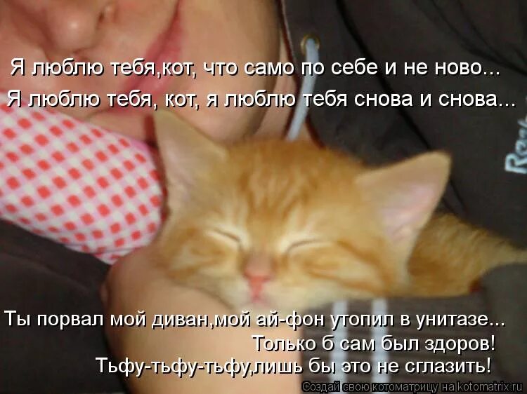 Песни которые любят коты